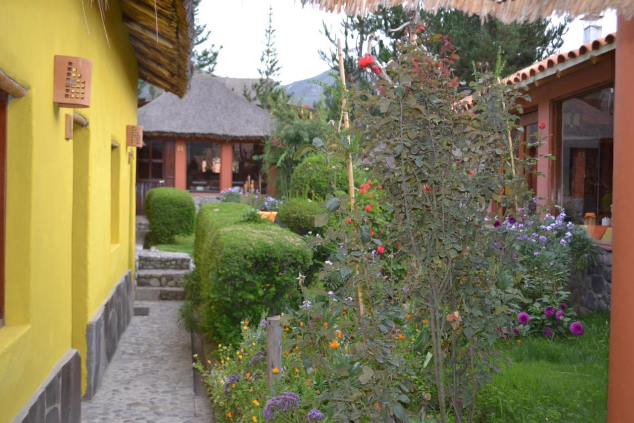 Miskiwasi Bed & Breakfast Yanque Eksteriør bilde